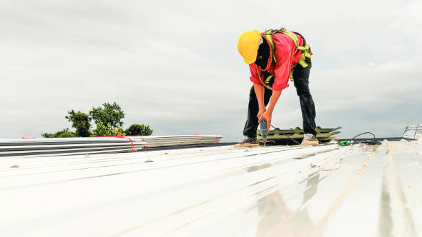 Best Gutter Installation and Repair  in New Freedom, PA
